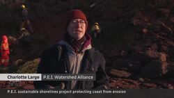 ‘Living shorelines’ may help mitigate future climate damage News Clip