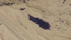 CLEAN : Major clean up underway along Brazilian coastline following oil spill News Clip