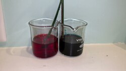 Color Changing Flowers Experiment - Part 2 Instructional Video