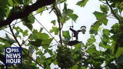 Can AI help solve India’s food and water insecurity? News Clip