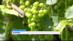 Passport to Connecticut Farm Wineries introduces you to agriculture in Connecticut Instructional Video