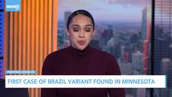 First Case Of Brazil COVID-19 Variant Found In Minnesota News Clip