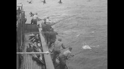 Men on small fishing schooner fish tuna with poles and are almost overwhelmed by their large tuna catch News Clip