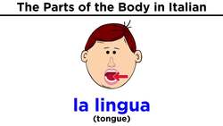 Italian Vocabulary: Parts of the Body Instructional Video