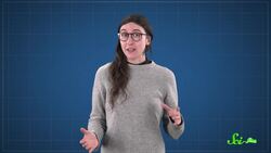 How African Dust Feeds Florida's Crops Instructional Video