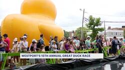 Westport holds 15th annual Great Duck Race fundraiser News Clip