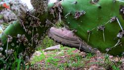 They see me ROLLIN'...TURDS! Instructional Video