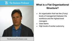 Flat Organizational Structure Instructional Video
