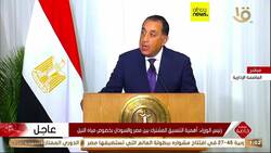 Egypt seeks to renew cooperation with Sudan News Clip