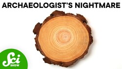 Trees Are All Dead Inside (And That's a Problem) Instructional Video