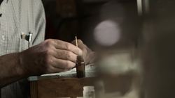 The Honey Bee Algorithm Instructional Video