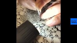 Watch: This beautiful octopus was cut out of a single piece of paper News Clip