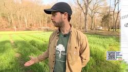 Garden Guide: These plants repel weeds and are a natural fertilizer! News Clip