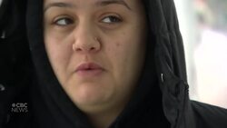 Winnipeg tests out shatterproof glass to curb costs of replacing broken bus shacks News Clip