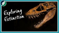 Exploring Extinction | Compilation Instructional Video