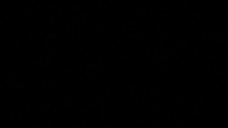 CLEAN : Riots in South Africa 'must never be allowed to happen again': Ramaphosa News Clip