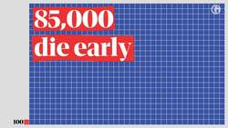 Do cyclists think they're above the law, and does it even matter Instructional Video