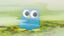 Foggy Day Instructional Video