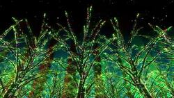 Neon Tree illumination Stock Footage