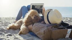 Woman traveler is holding touch pad, while is relaxing outdoors during his trip on the sea. Stock Footage