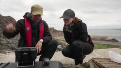 World's largest gannet colony recovering News Clip