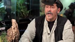 10 Cool Facts about Camel Spiders (Solifugids) Instructional Video