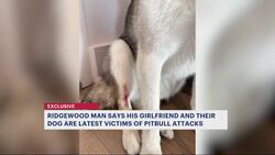 Residents are on high alert after a series of pit bull attacks near Bushwick News Clip