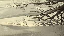 Motorcyclist show-boating on thin ice of Ramsay Lake News Clip