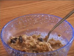 Observations and Data: Observations Instructional Video