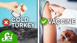 Cold Turkey Doesn't Work But Vaccines Might Help You Quit Nicotine Instructional Video