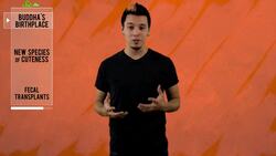 Buddha's Birthplace, Poop Transplants & 'Cryptic Cats' Instructional Video