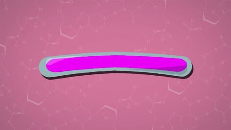 I WONDER - How Fast Do Chemical Reactions Occur?