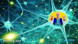 Have You Seen That Face Before? Instructional Video