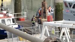 Migrants arriving in Dover News Clip