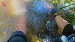 The GOLDEN TICKET Adventure! Instructional Video