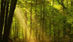 My Environment Instructional Video