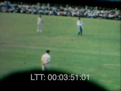 Serpentine Activities 1950s Stock Footage