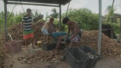 Technology Transfer to the Global South Instructional Video