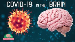 How COVID-19 Affects The Brain Instructional Video
