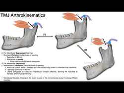 TMJ Biomechanics | Mandibular Elevation Instructional Video