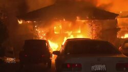 Shaun Majumder’s escape from L.A.: Actor explains why he moved back to Canada News Clip