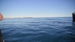 Sea Watch leaves Valletta, migrants still on board Instructional Video