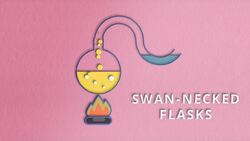 What is pasteurization? Instructional Video