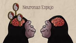 ¿Somos egoístas o generosos por naturaleza? Instructional Video