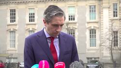 Simon Harris speaks ahead of Government Trade Forum - full press conference News Clip