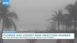 Florida Reports Lowest Number Of New Infections Since Mid-June News Clip