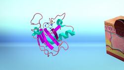 Scientists combine cancer drugs to treat melanoma Instructional Video