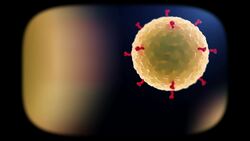 Bailey's Big Back Yard: What is the Coronavirus Disease? Instructional Video