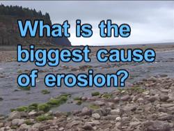 Forces Shaping the Earth: Moving Water Instructional Video