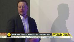 Elon Musk asks US Federal staff to justify their work Instructional Video
